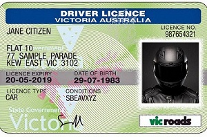 drivers license